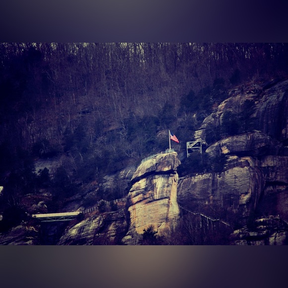 Meet your Posher, Drucilla - Picture 5 of 16